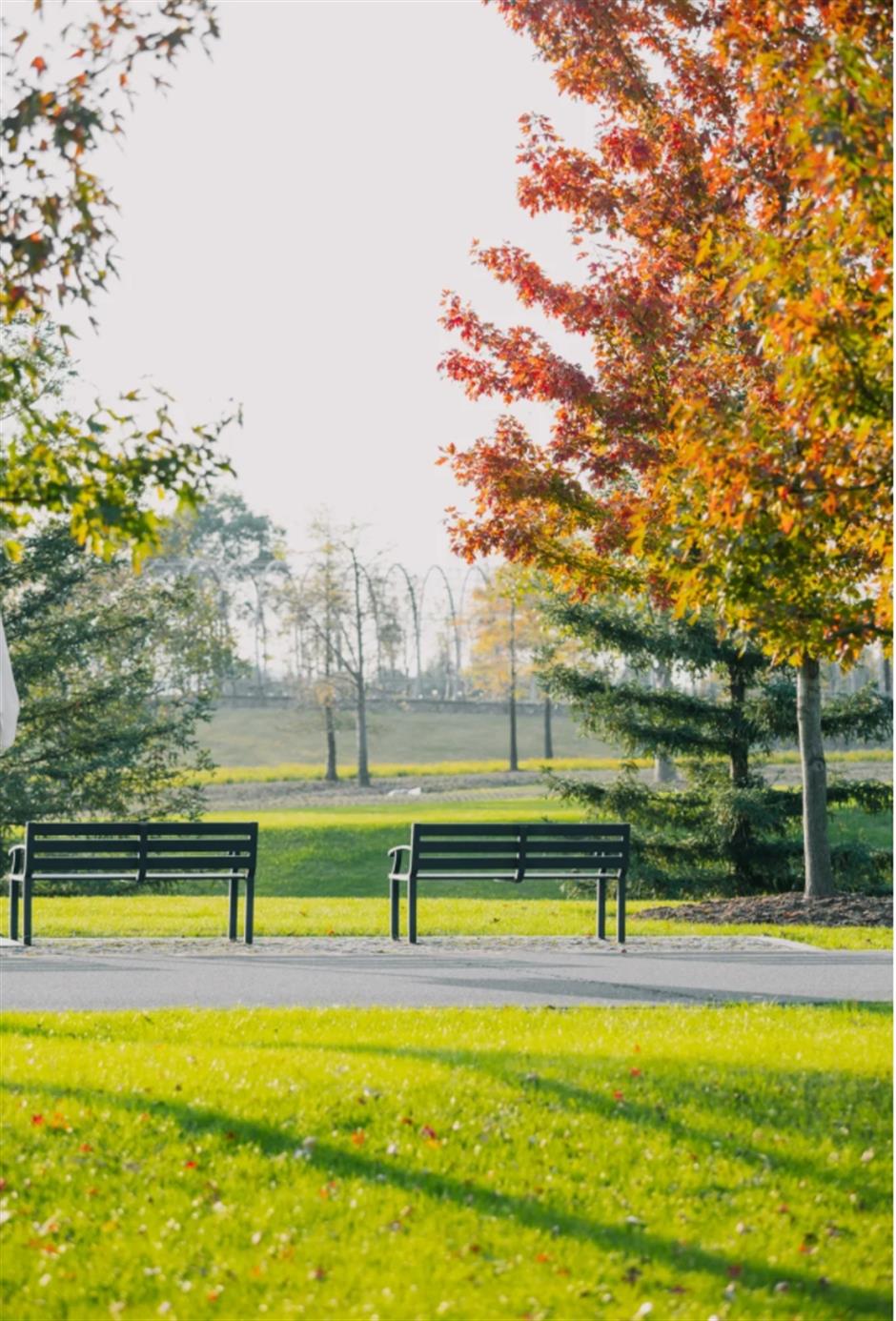 银杏、乌桕、枫香……秋冬限定缤纷彩叶已上线!错过等一年