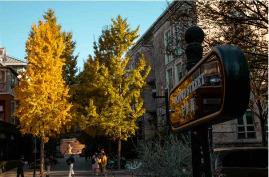 银杏、乌桕、枫香……秋冬限定缤纷彩叶已上线!错过等一年