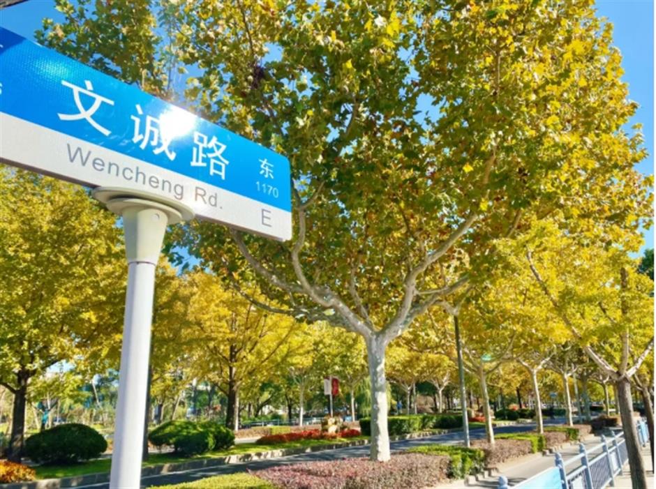 银杏、乌桕、枫香……秋冬限定缤纷彩叶已上线!错过等一年