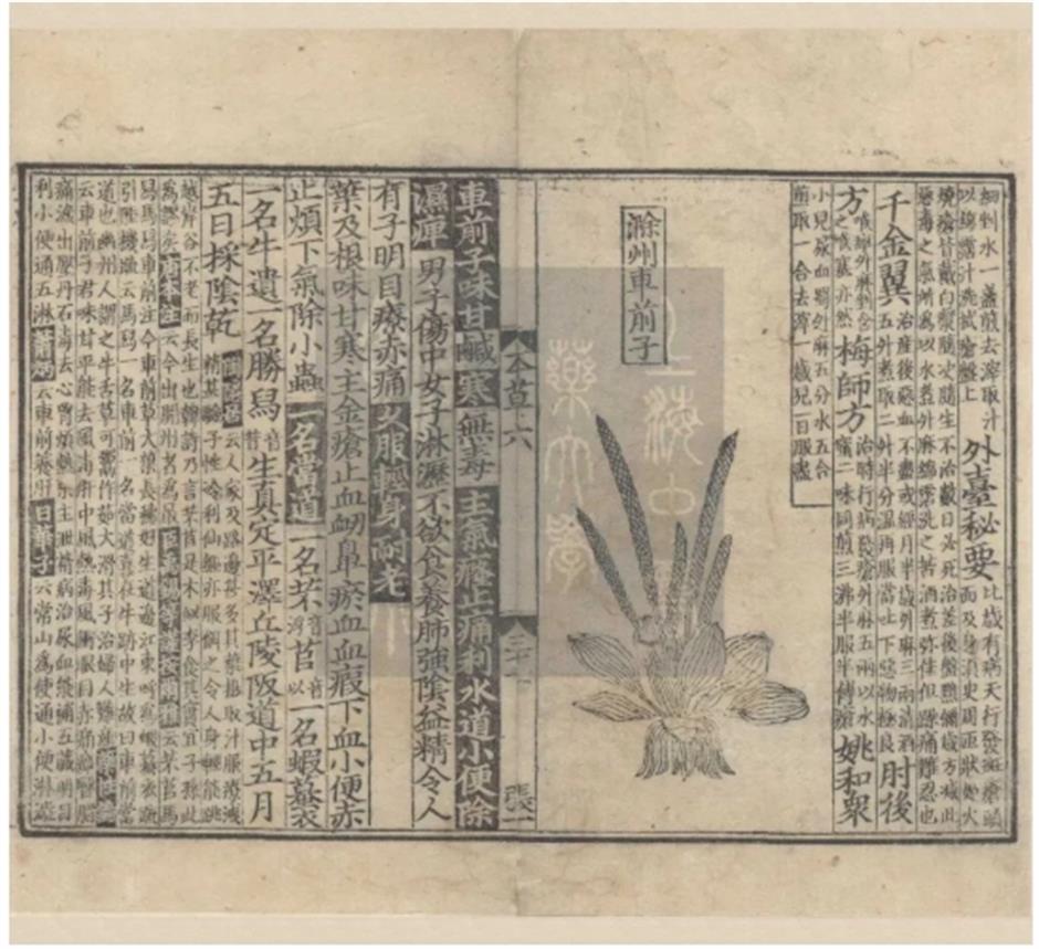 第五批、第六批上海市珍貴古籍名錄公佈