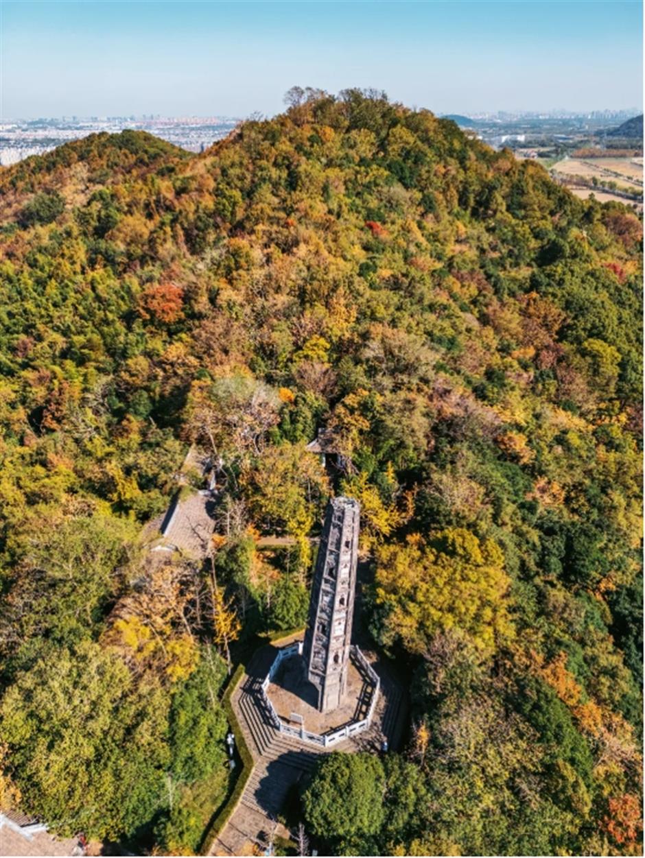 서울은 이 은행나무가 산 속에서 아름다워진 700년 동안의 上海입니다.