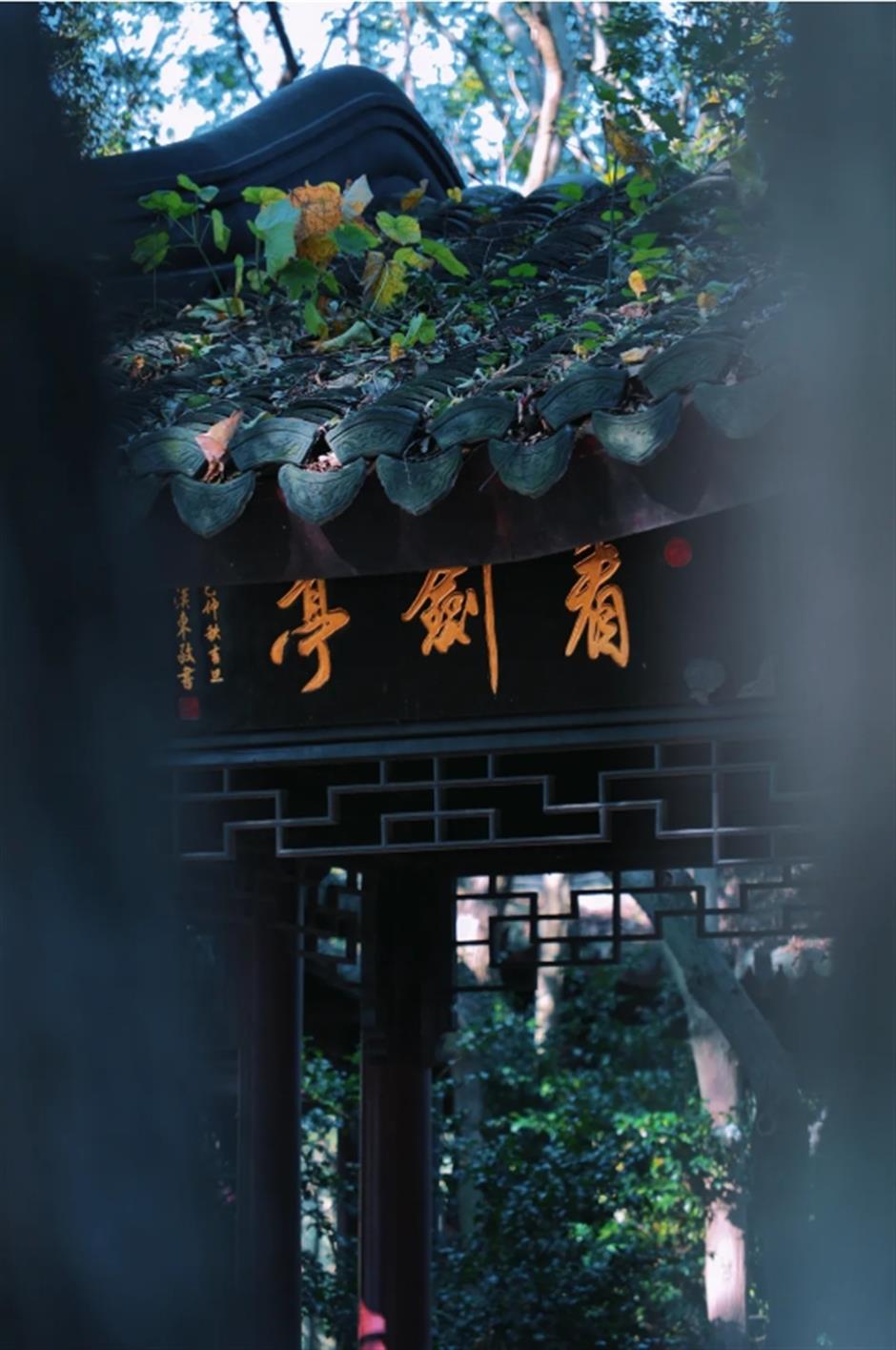 서울은 이 은행나무가 산 속에서 아름다워진 700년 동안의 上海입니다.