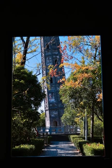 서울은 이 은행나무가 산 속에서 아름다워진 700년 동안의 上海입니다.