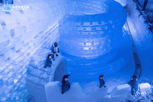 冬日上新!好玩的都在这里