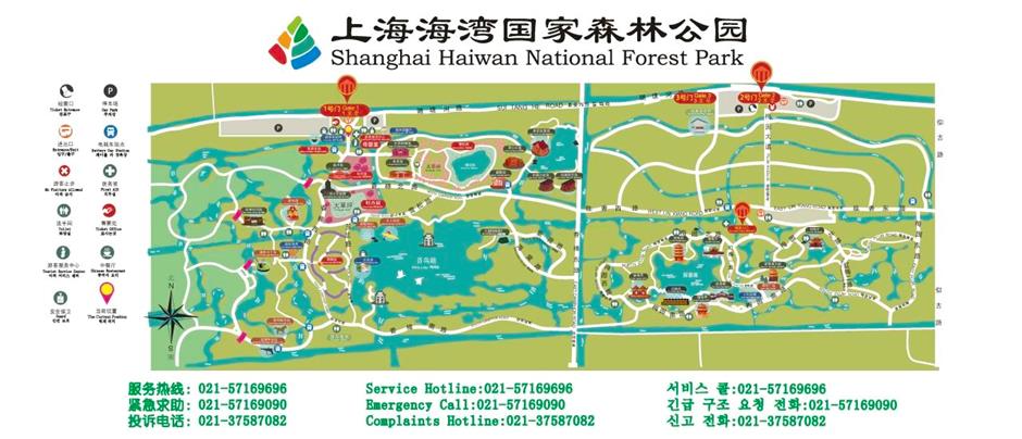 美翻了!90亩落羽杉林进入最佳观赏期!