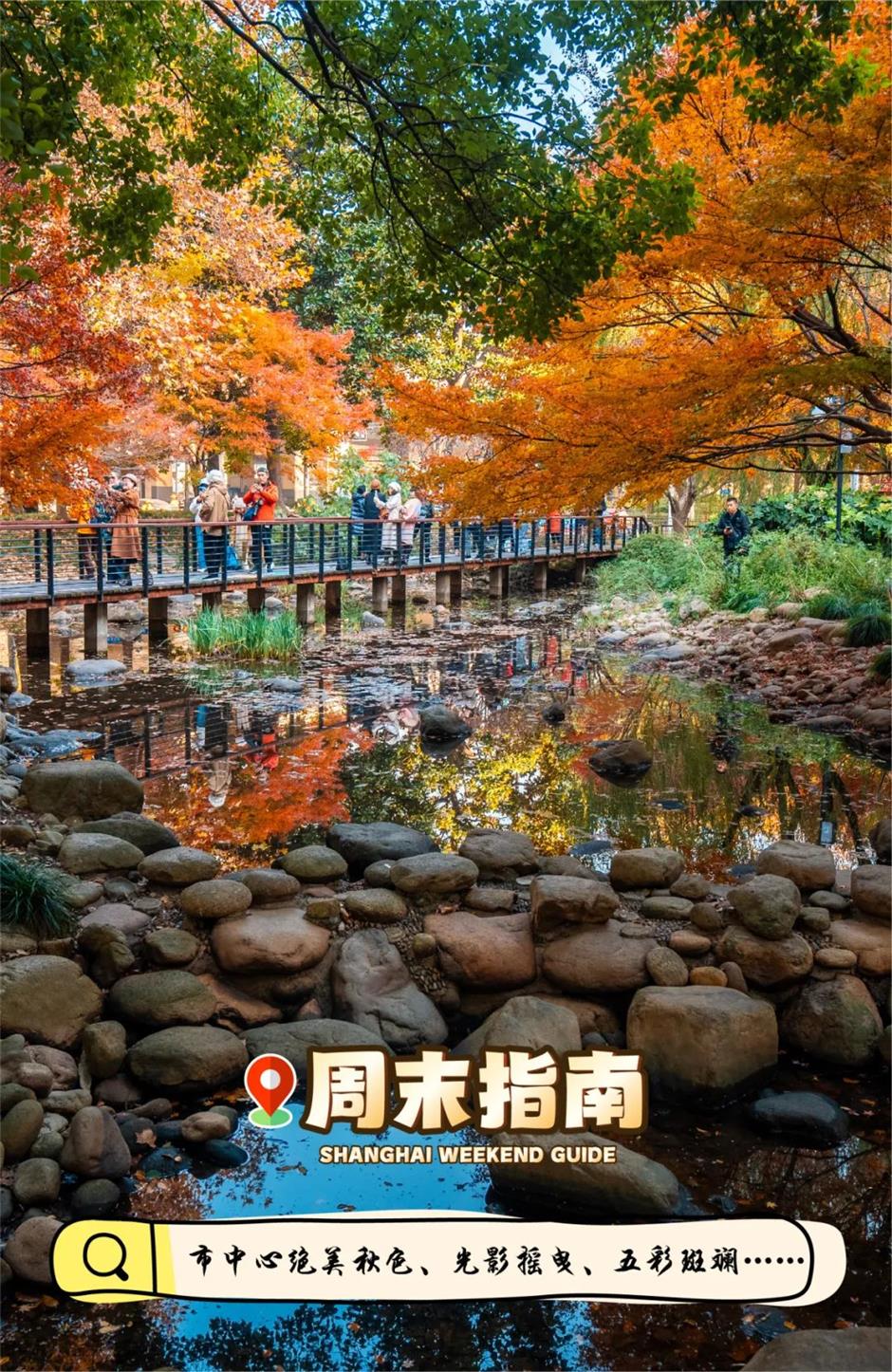 实拍!被上海市中心的这条秋景走廊美到了