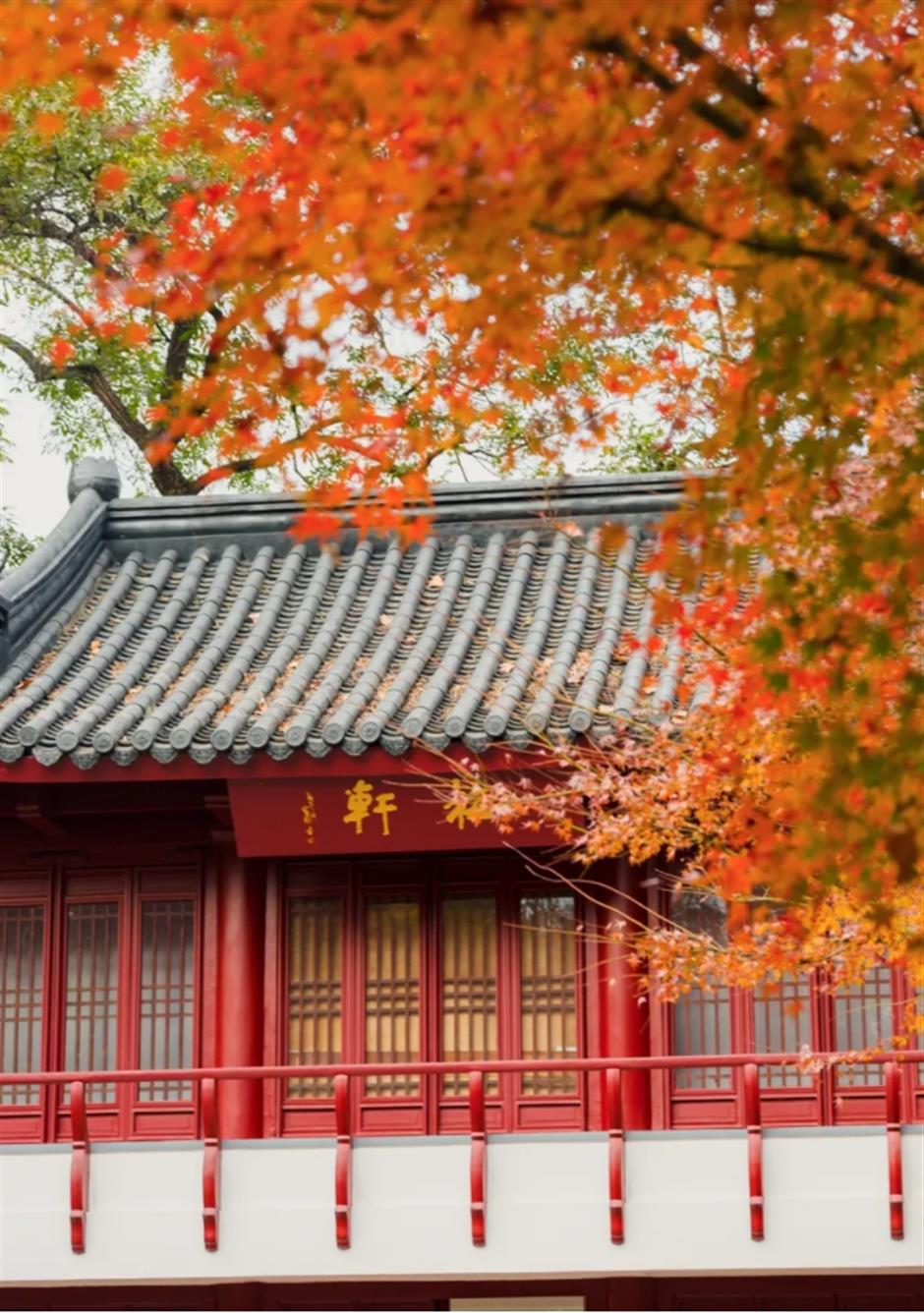 倒計時!別錯過這場浪漫「紅」