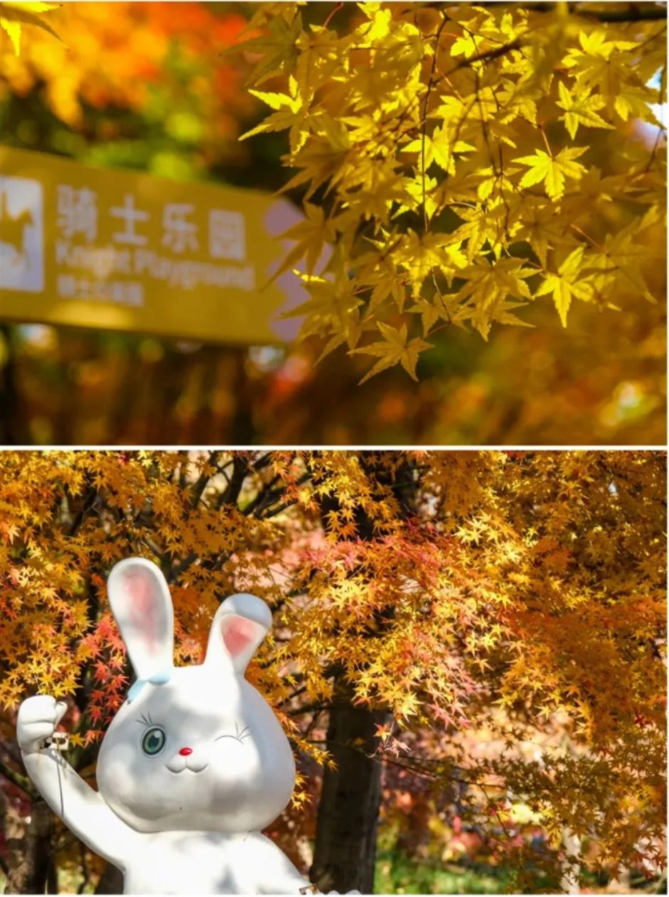 倒計時!別錯過這場浪漫「紅」