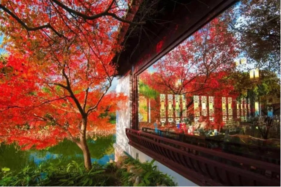 倒計時!別錯過這場浪漫「紅」