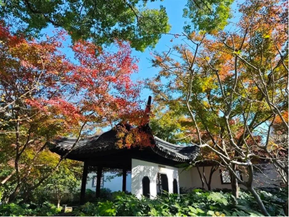 倒計時!別錯過這場浪漫「紅」