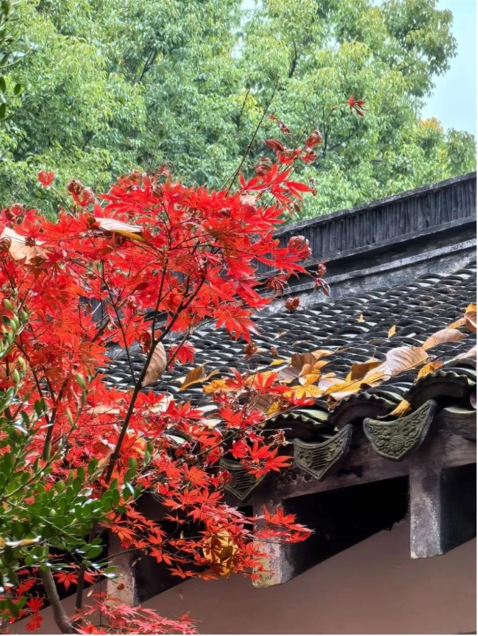 倒計時!別錯過這場浪漫「紅」