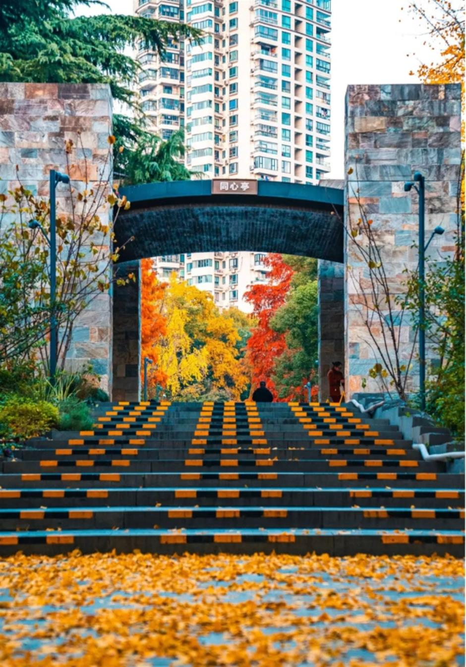 倒計時!別錯過這場浪漫「紅」