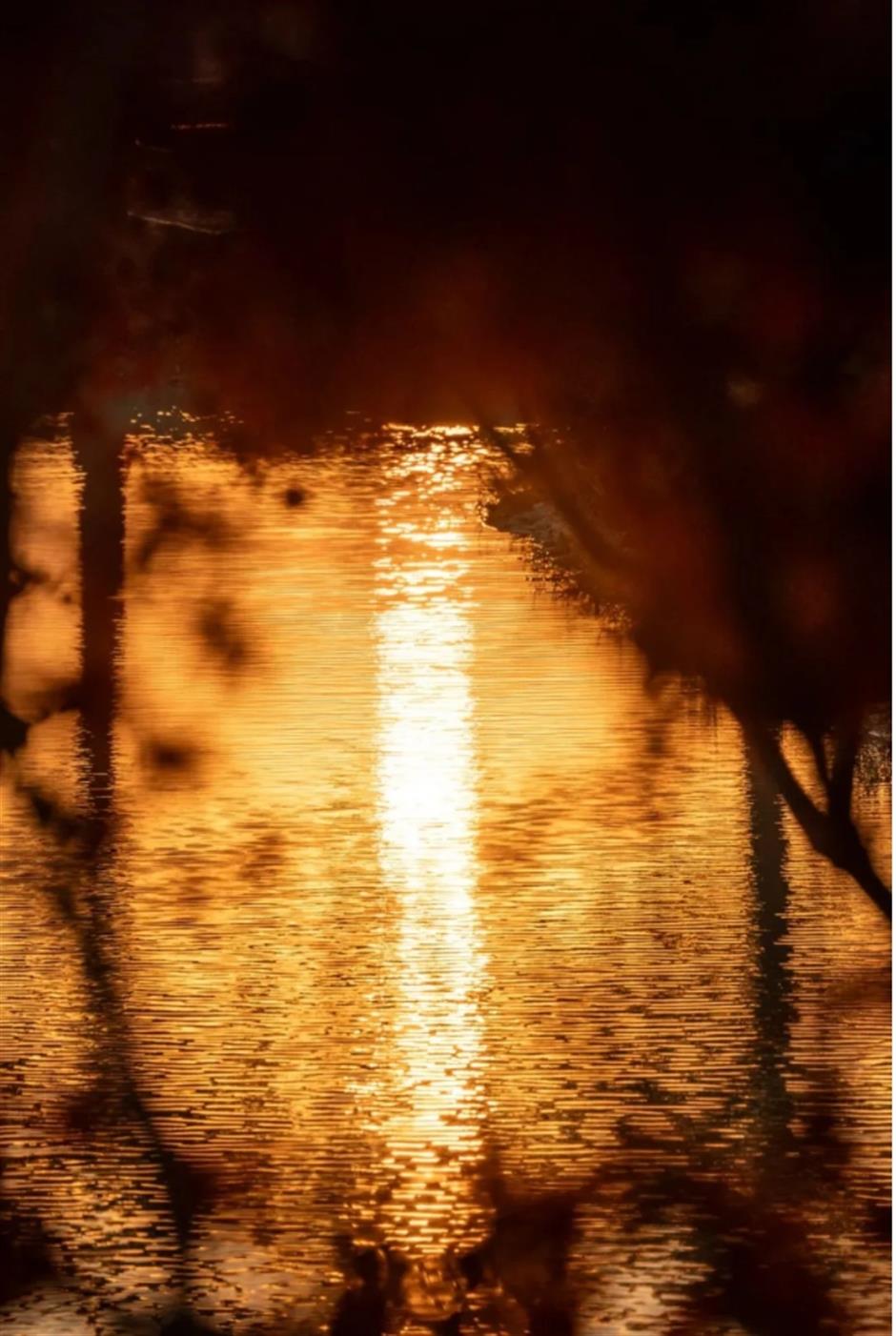倒計時!別錯過這場浪漫「紅」