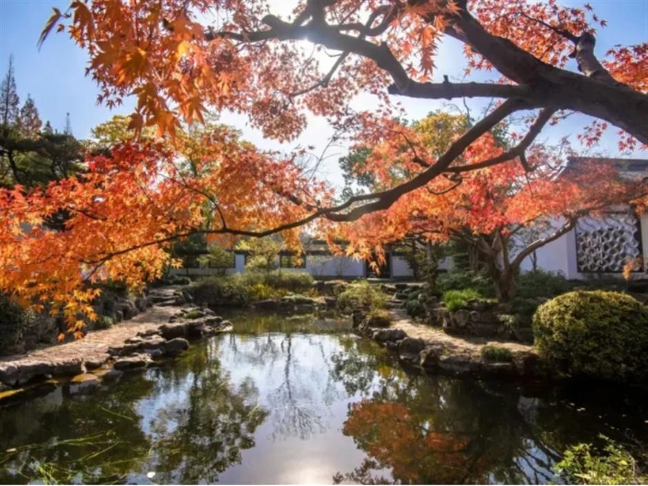 倒計時!別錯過這場浪漫「紅」