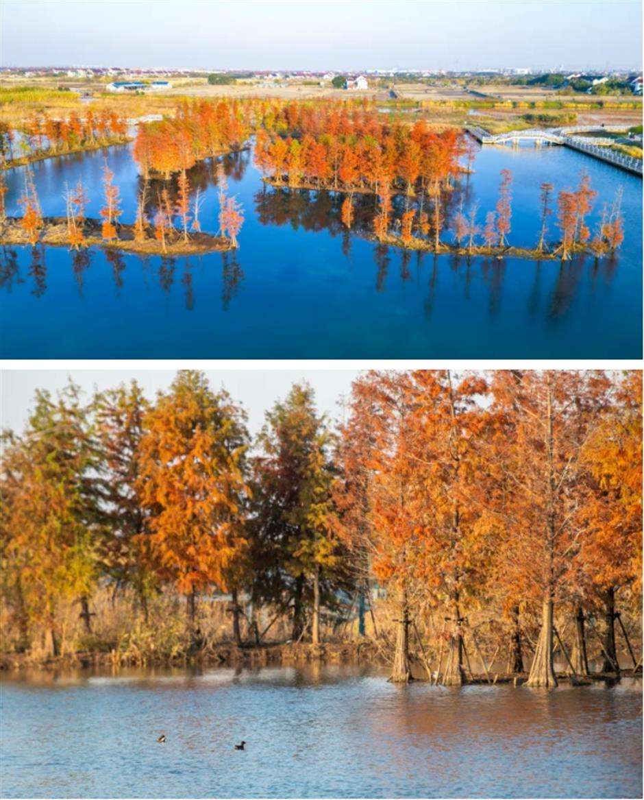 倒計時!別錯過這場浪漫「紅」