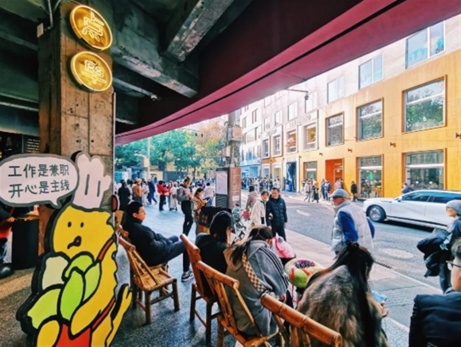 初冬的梧桐树下顶流,怎么可以这么美!