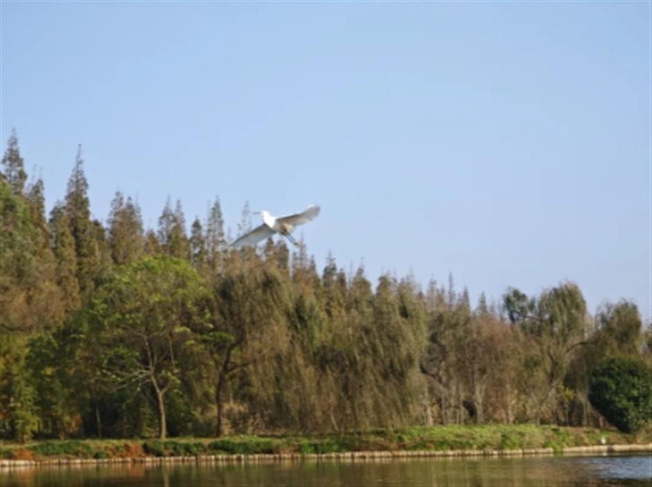 紅了!油畫般的秘境,免費打卡