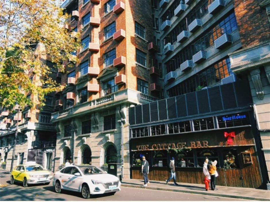 初冬的梧桐树下顶流,怎么可以这么美!