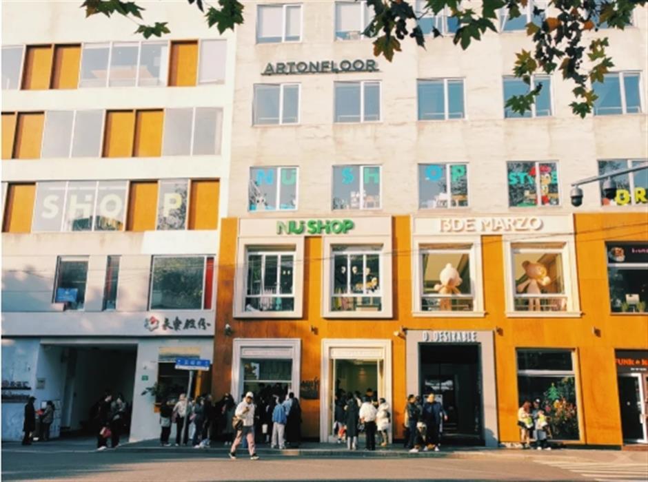 初冬的梧桐树下顶流,怎么可以这么美!