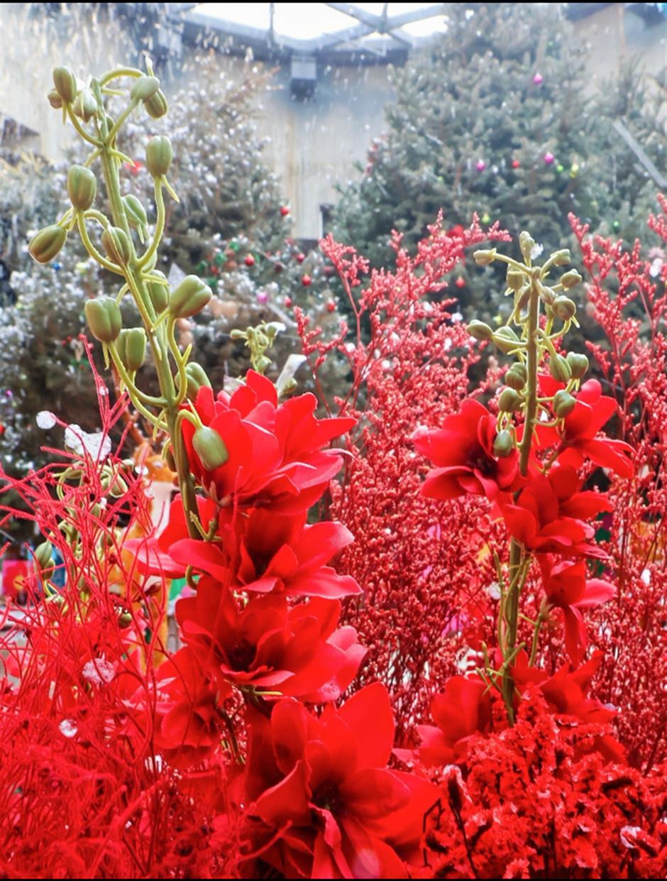 美!来免费逛玩这个花市吧~