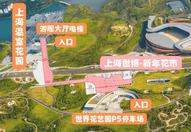 美!来免费逛玩这个花市吧~