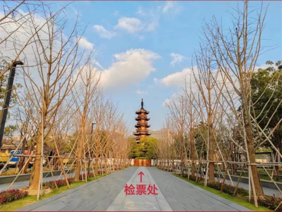 免費預約!2025上海新年第一遊就要這樣玩!