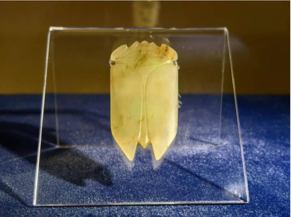 无需预约,免费观展!年末又一个新开大展来了