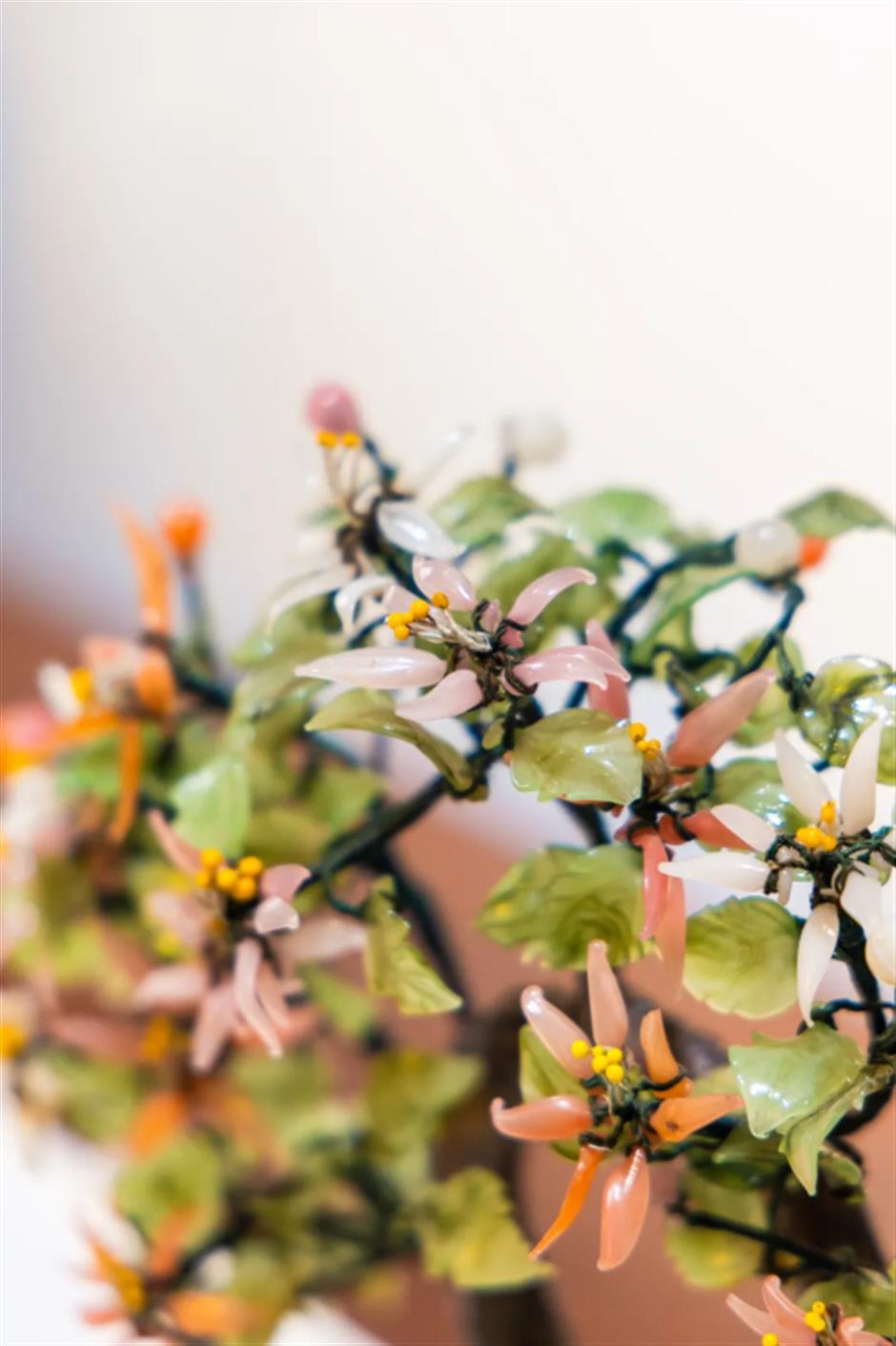 绝美!上海市中心的老洋房里,盛开着永不凋谢的奇珍宝石花→