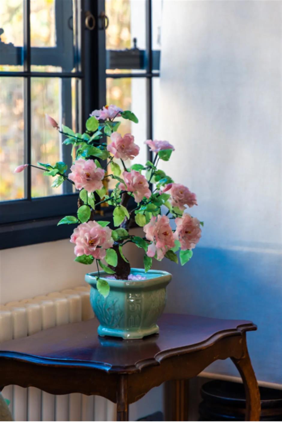 绝美!上海市中心的老洋房里,盛开着永不凋谢的奇珍宝石花→