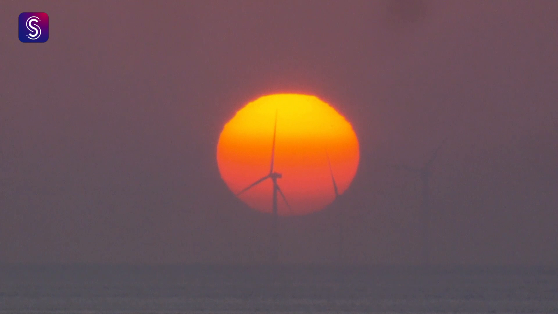 Shanghai kicks off 2025 with activities galore