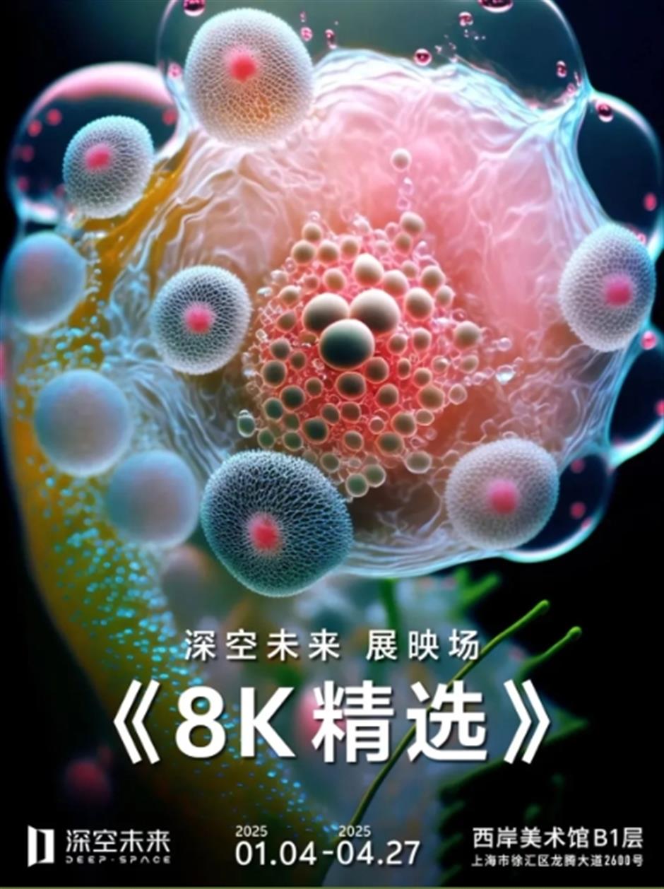 上新啦!四大主题,解锁西岸新玩法!