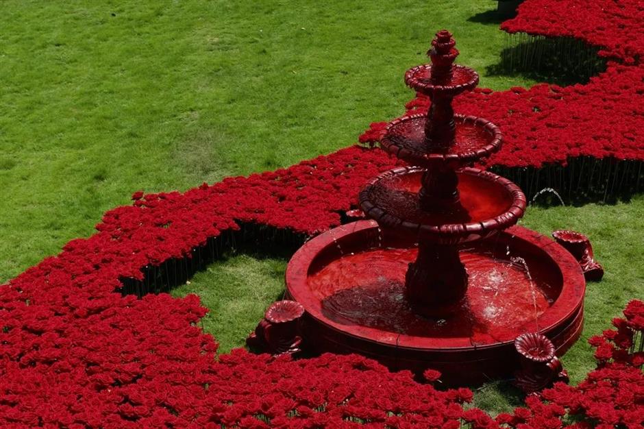 超出片!來打卡上海的絕美「紅」