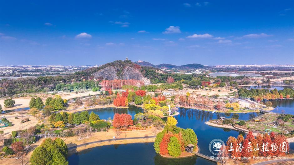 上海松江站开站,带你一站式畅玩