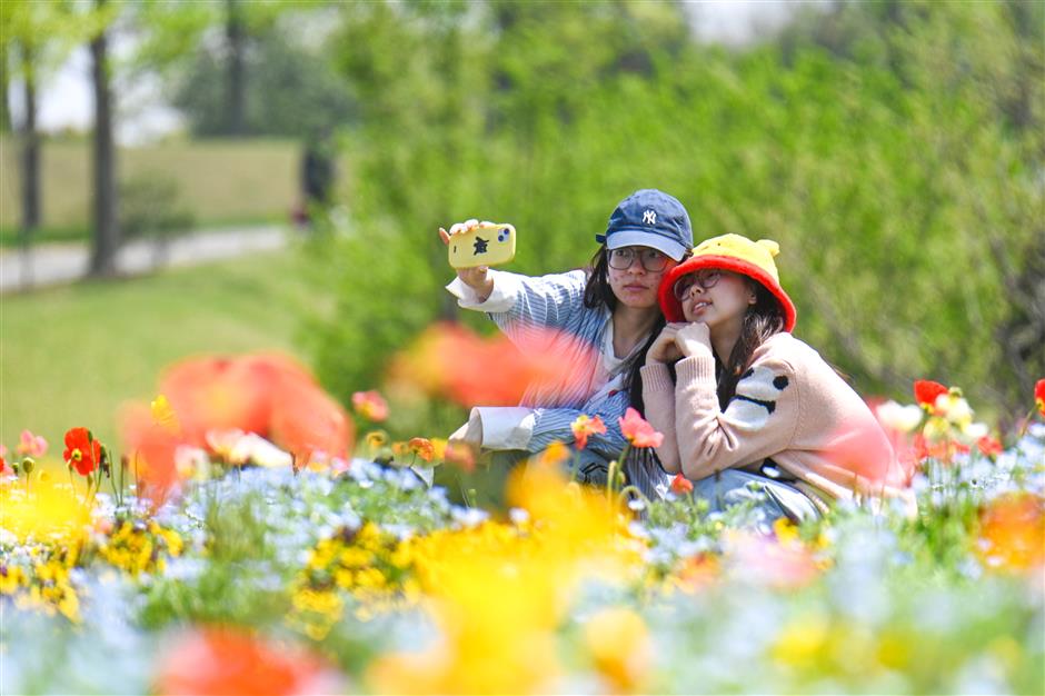 [Hai Guide] Top attractions near the new Shanghai Songjiang Railway Station