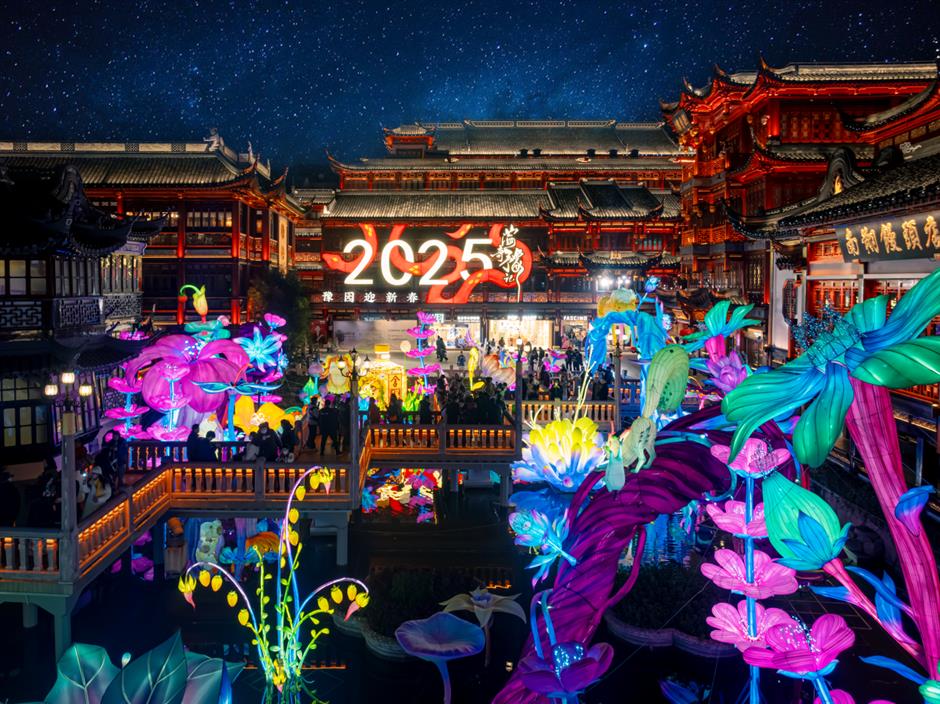 2025豫园非遗大集启幕,全国50余个非遗项目齐聚喜迎非遗版春节