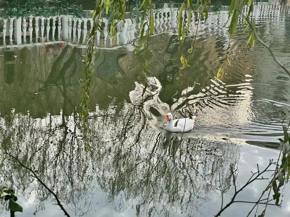 误入欧洲古堡？其实是上海这个99%人不知道的免费庄园！