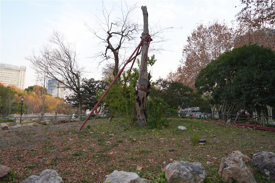 Zhongshan Park the perfect antidote for a weary soul