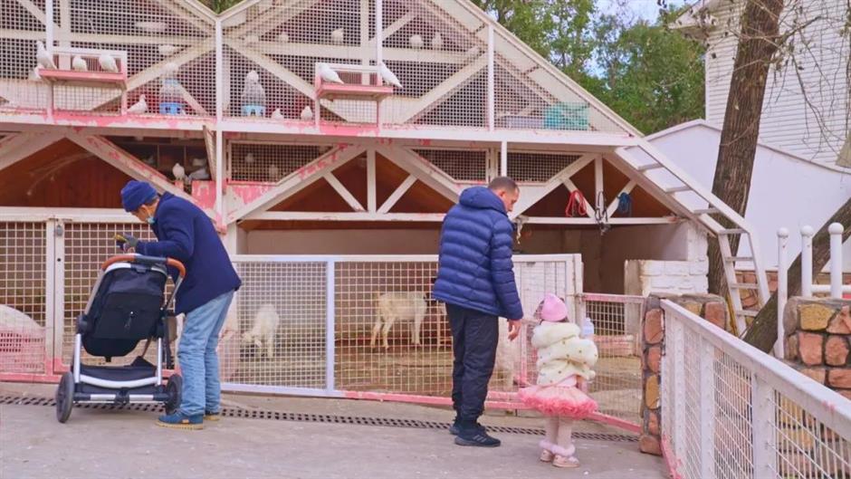 误入欧洲古堡？其实是上海这个99%人不知道的免费庄园！