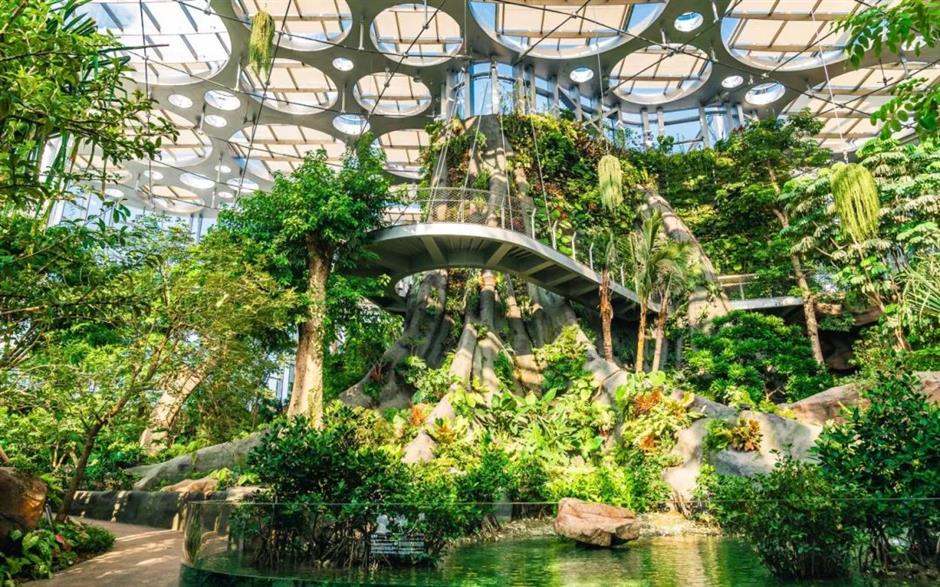 真暖!上海市区竟然藏着