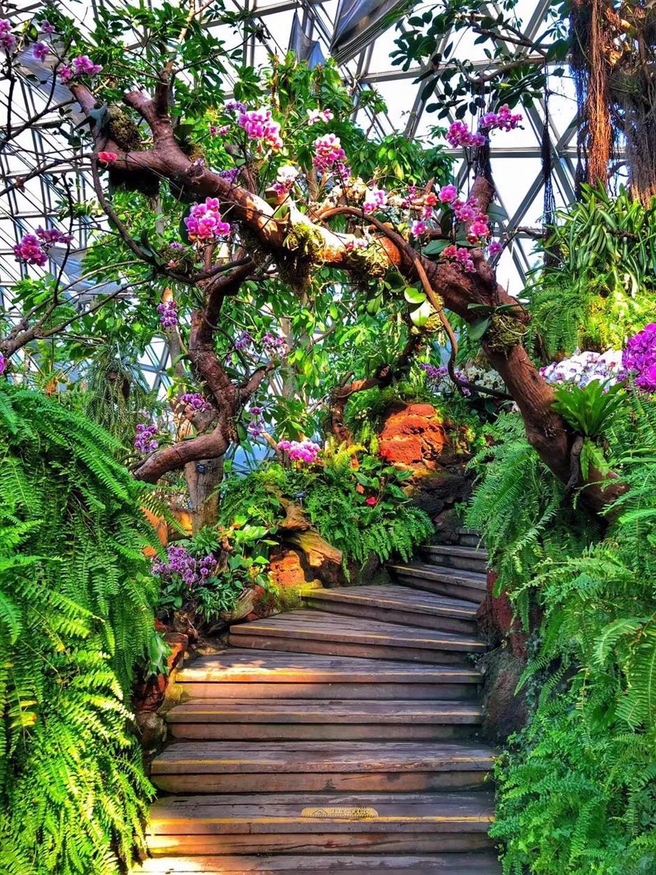 真暖!上海市区竟然藏着