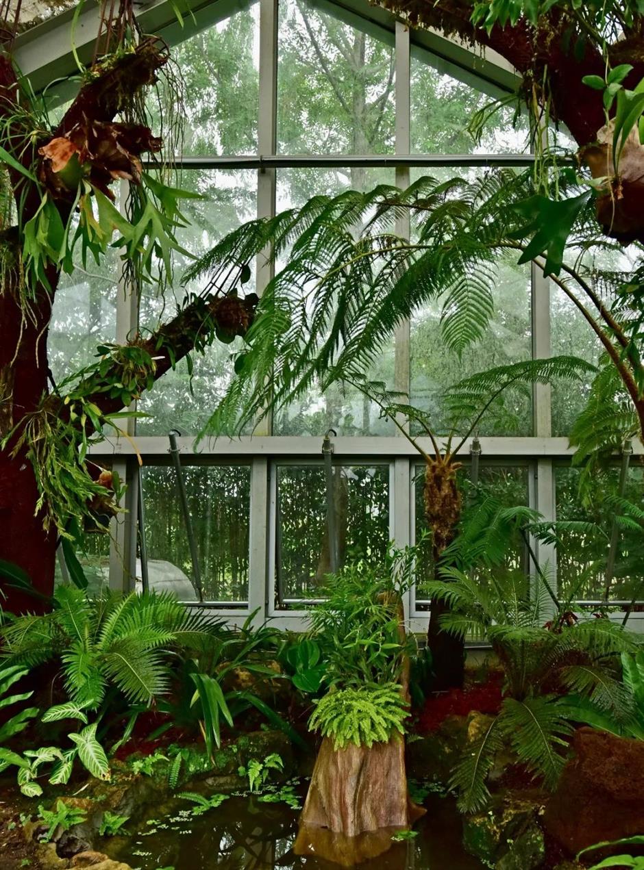 真暖!上海市区竟然藏着