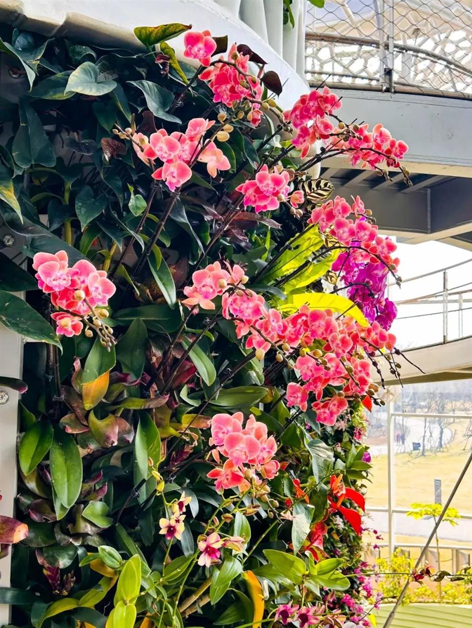 真暖!上海市区竟然藏着