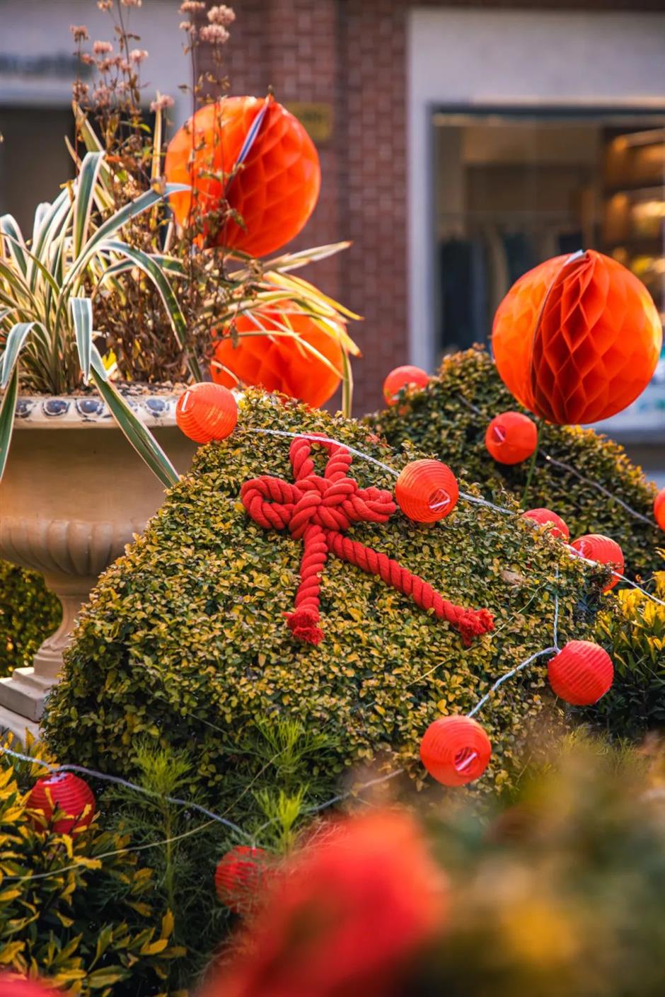 年味爆浓!就在上海市中心这条小马路上