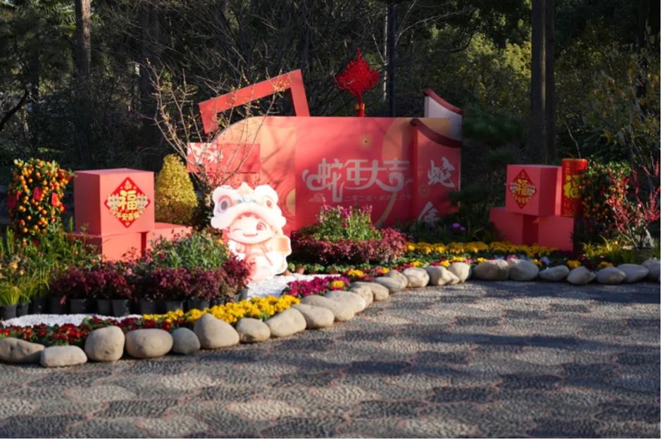 2025第一缕花香~千余株腊梅绽放在上海这个免费公园!