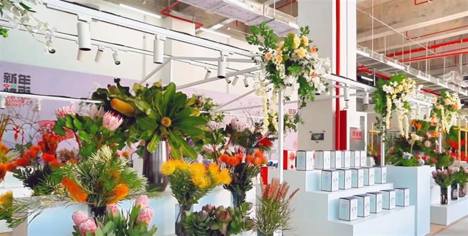 倒计时ing,年宵花去这些地方安排→