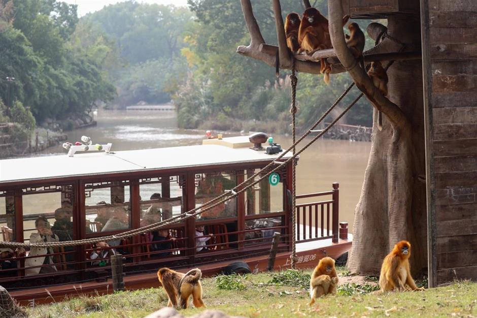 冰雕、雪人、雪屋…不去尔滨也能体验冰雪王国!