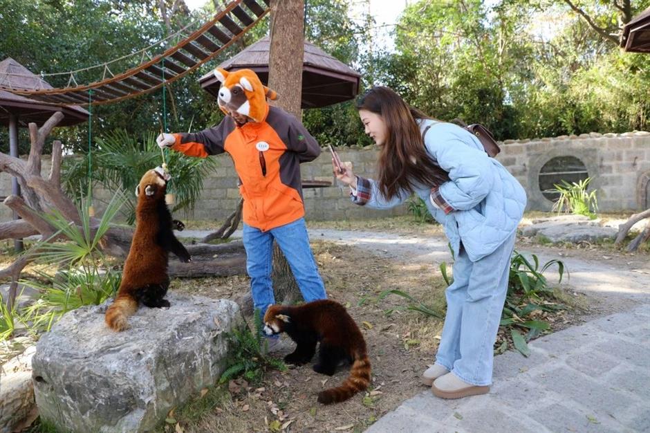 冰雕、雪人、雪屋…不去尔滨也能体验冰雪王国!