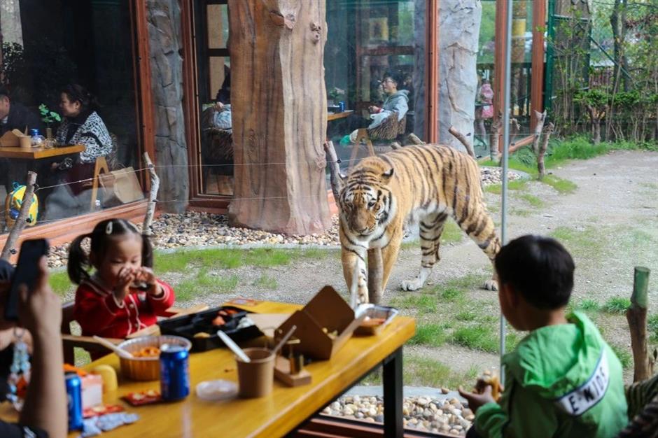 冰雕、雪人、雪屋…不去尔滨也能体验冰雪王国!