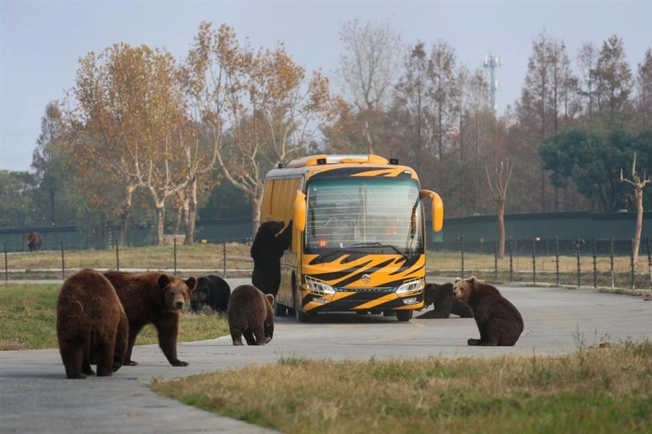 冰雕、雪人、雪屋…不去尔滨也能体验冰雪王国!