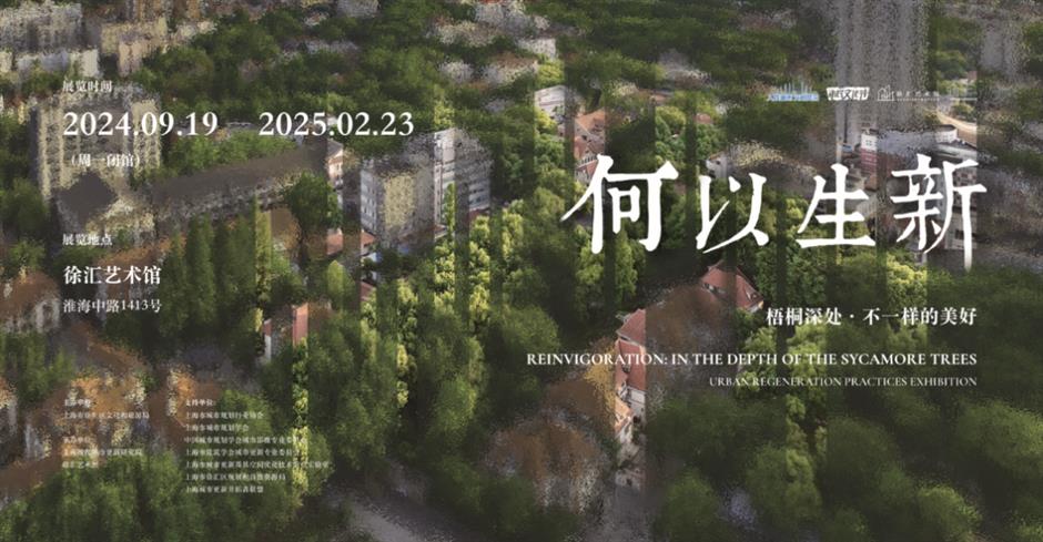 来梧桐区兜马路,漫赏这满满艺术街区!